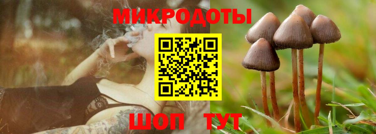 Псилоцибиновые грибы ЛСД  Вход с VPN  Кушва 